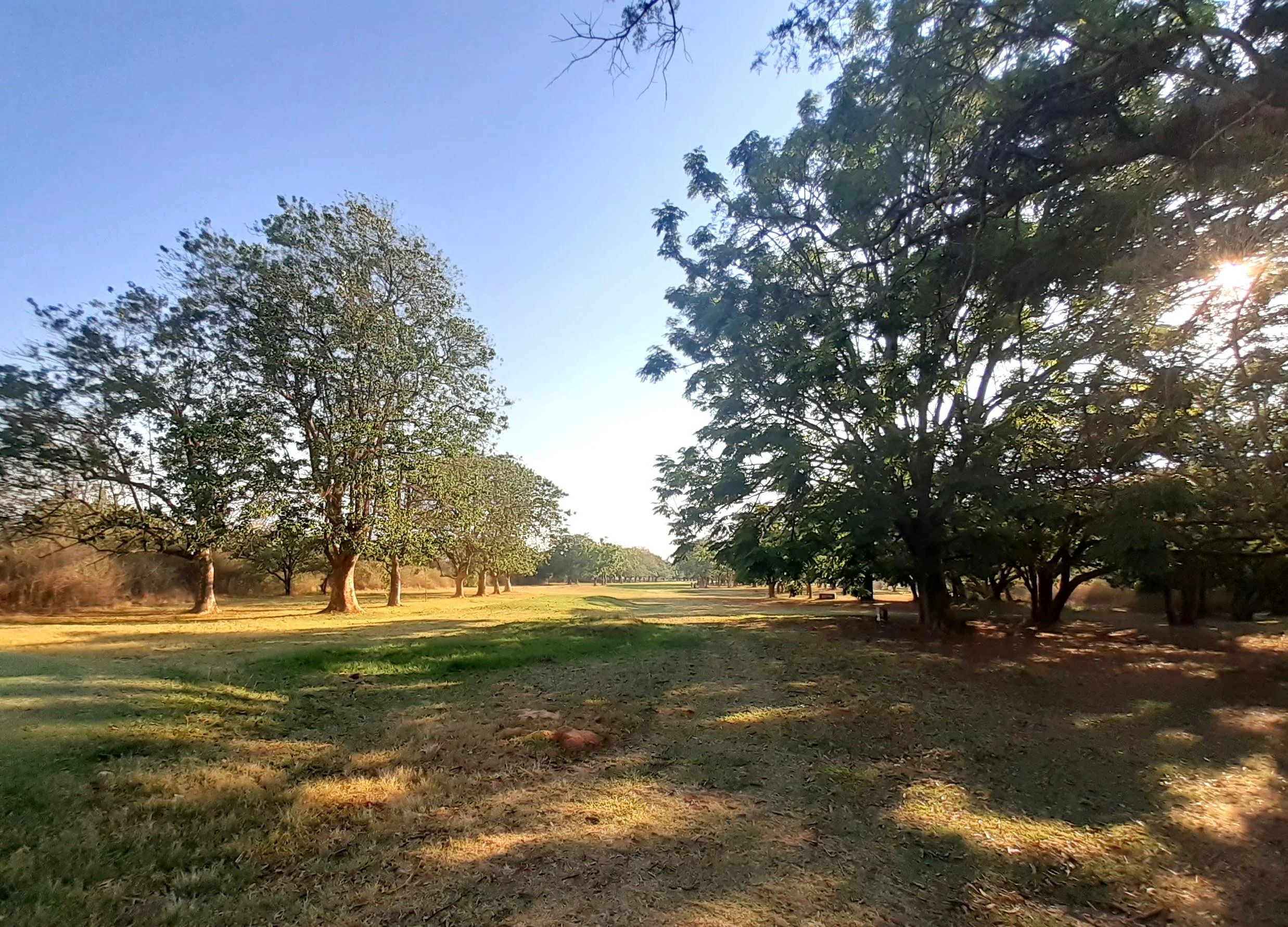 Morning shadows Lusaka Golf Club Zambia.jpg