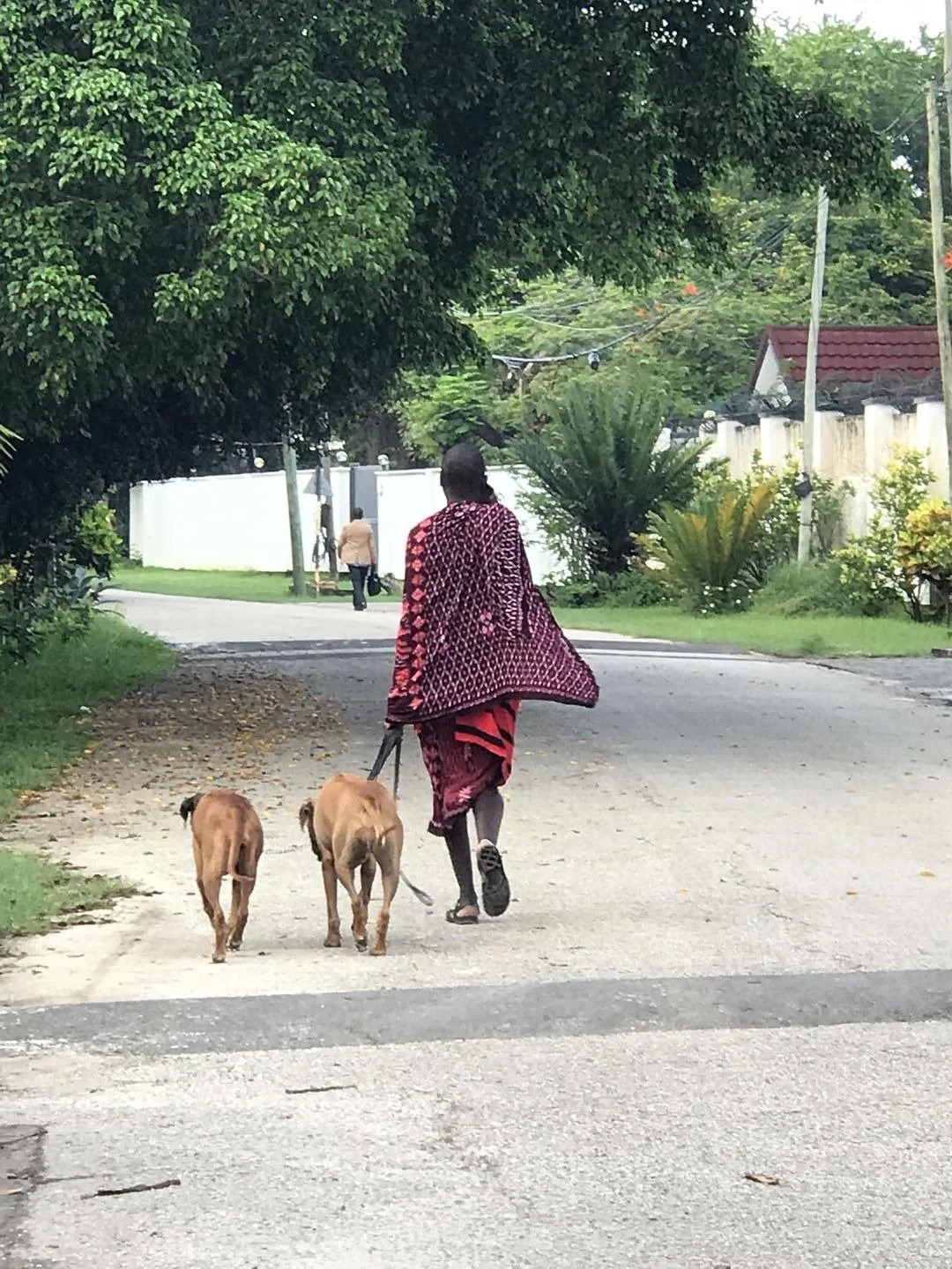 Dog walker Maasai Oyster Bay Dar es Salaam Tanzania.jpg