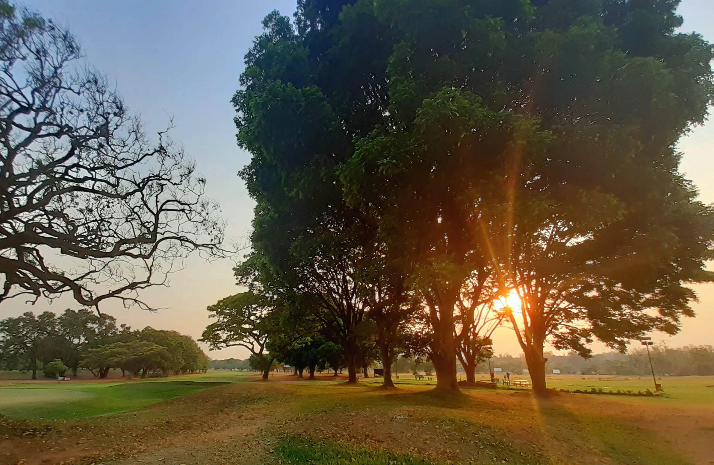 Sunlight through the trees at Lusaka Golf Club Zambia.jpg