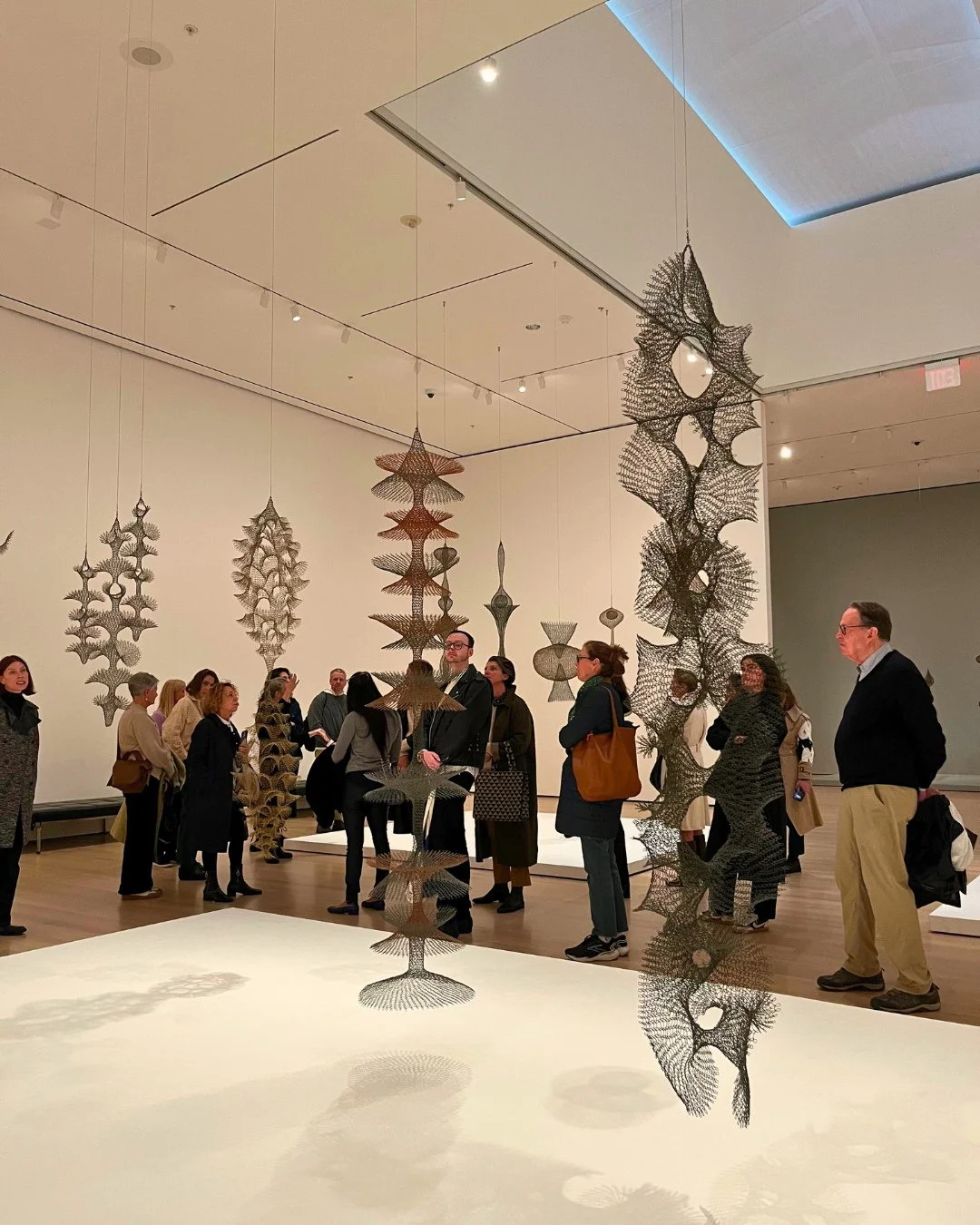 APAA members recently enjoyed a private tour of &ldquo;Ruth Asawa: A Retrospective&rdquo; at @themuseumofmodernart with Associate Curator Cara Manes.⁠
⁠
Featuring more than 300 works across wire sculpture, drawing, painting, printmaking, and public c