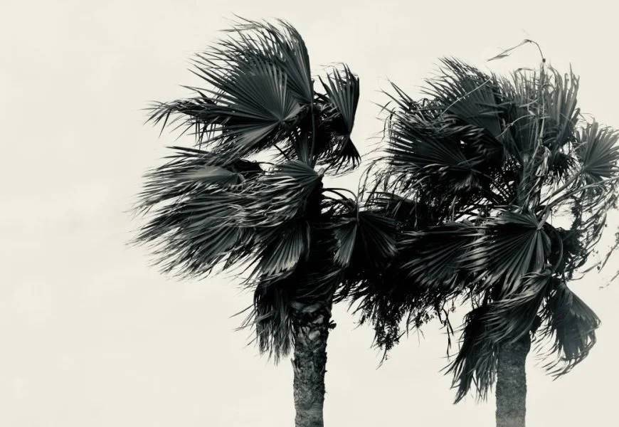 Hurricane season opens June 1. For collectors in South Florida, the time to act is well before a storm is named.

APAA sponsor @thefortressstorage has run its Hurricane Preparedness Program since 1983&mdash;a program now recognized as an industry sta