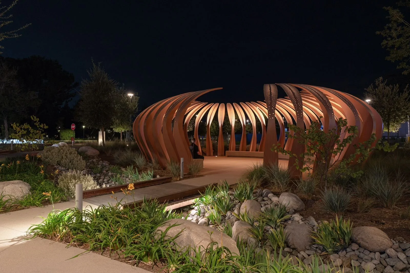 San Diego project.jpg