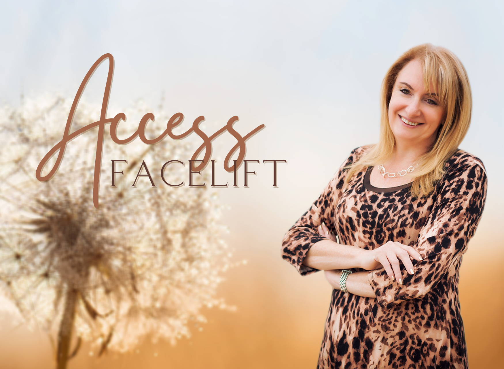 Access Facelift ™