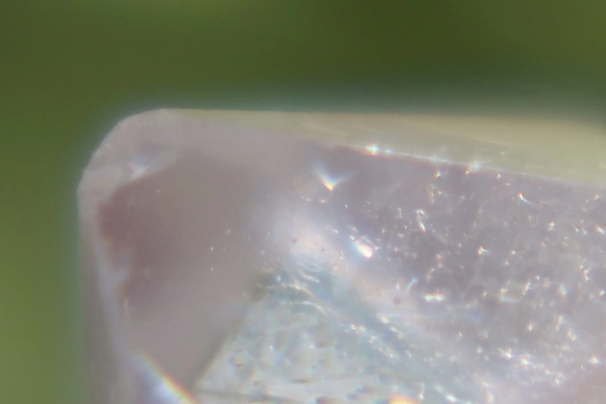Herkimer Diamond on Moldavite (in pink!)