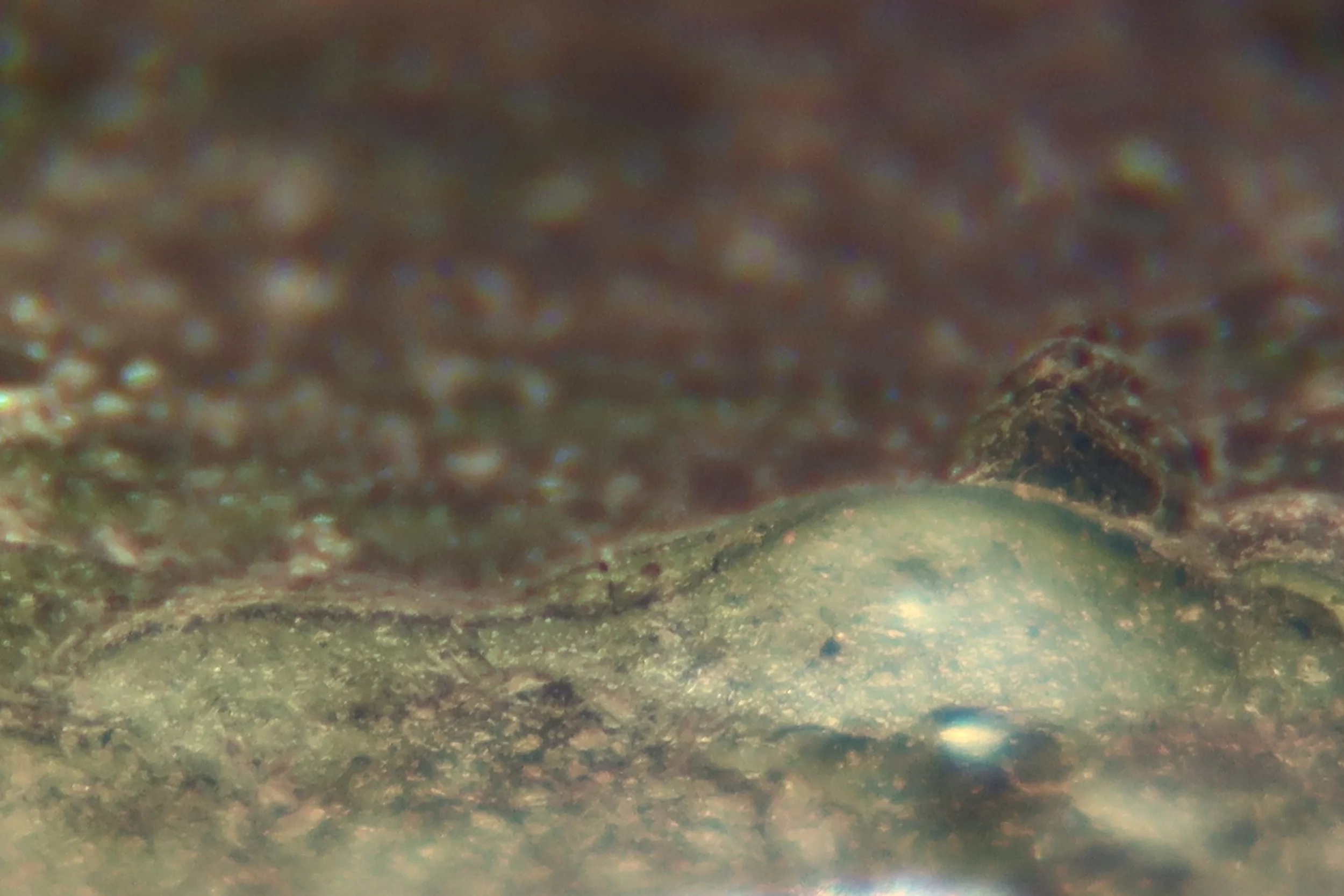 Moldavite 'Giant' Awakening