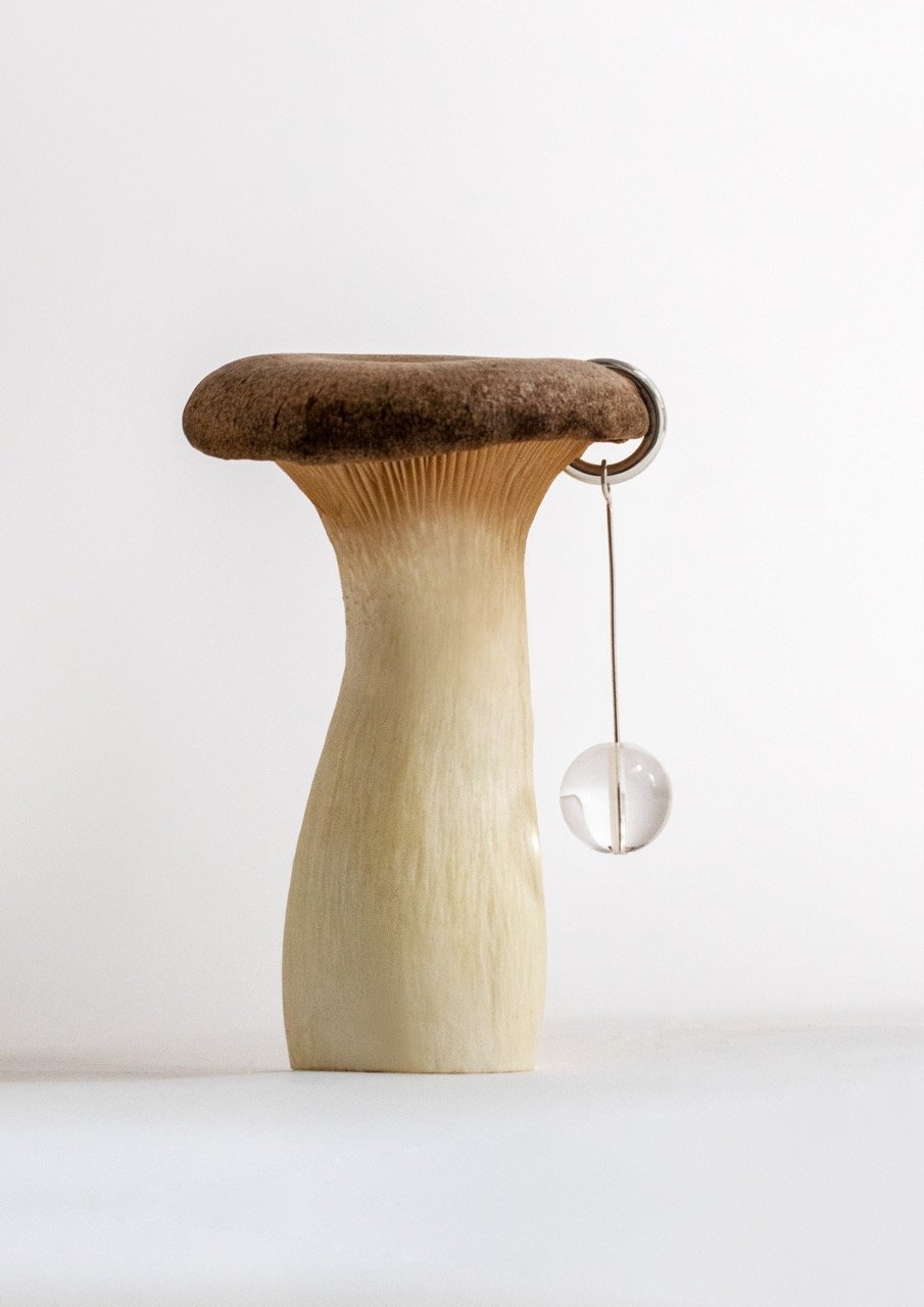 Pilz_Schmuck_Photography_StudioAto_Light.jpeg