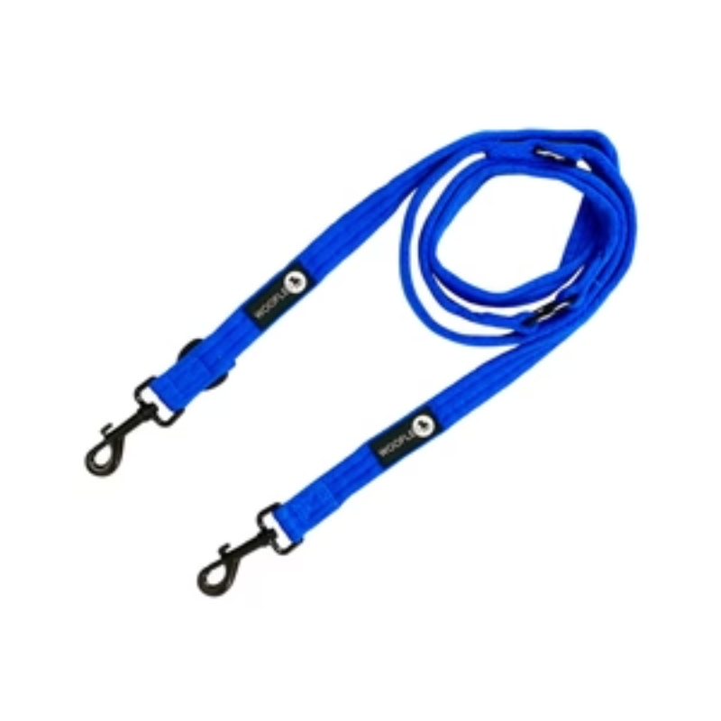 woofles one lead blue.png