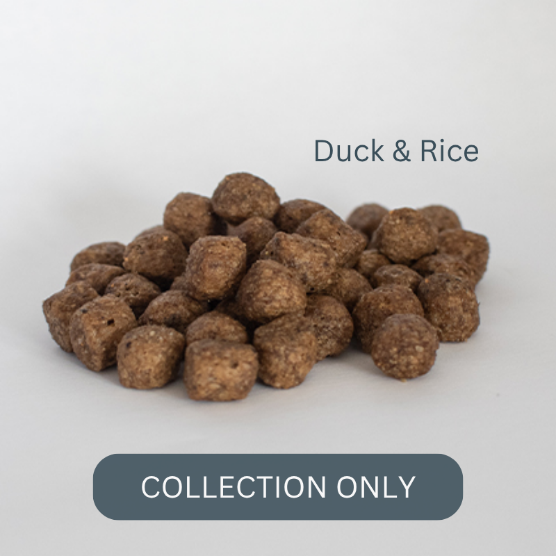 SKINNERS Duck and rice adult1 (1).png
