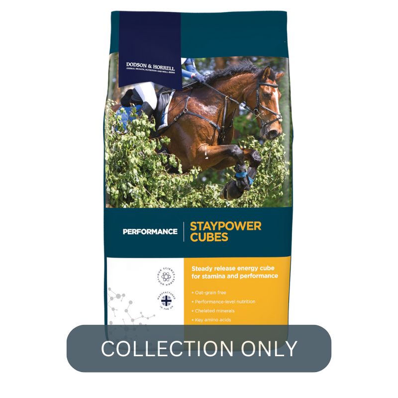 D&H staypower cubes.png