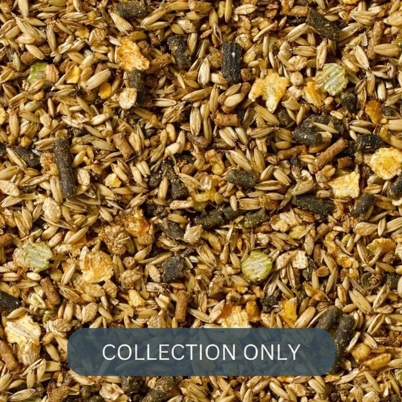 SARACEN COMPETITION FIT MIX1.png