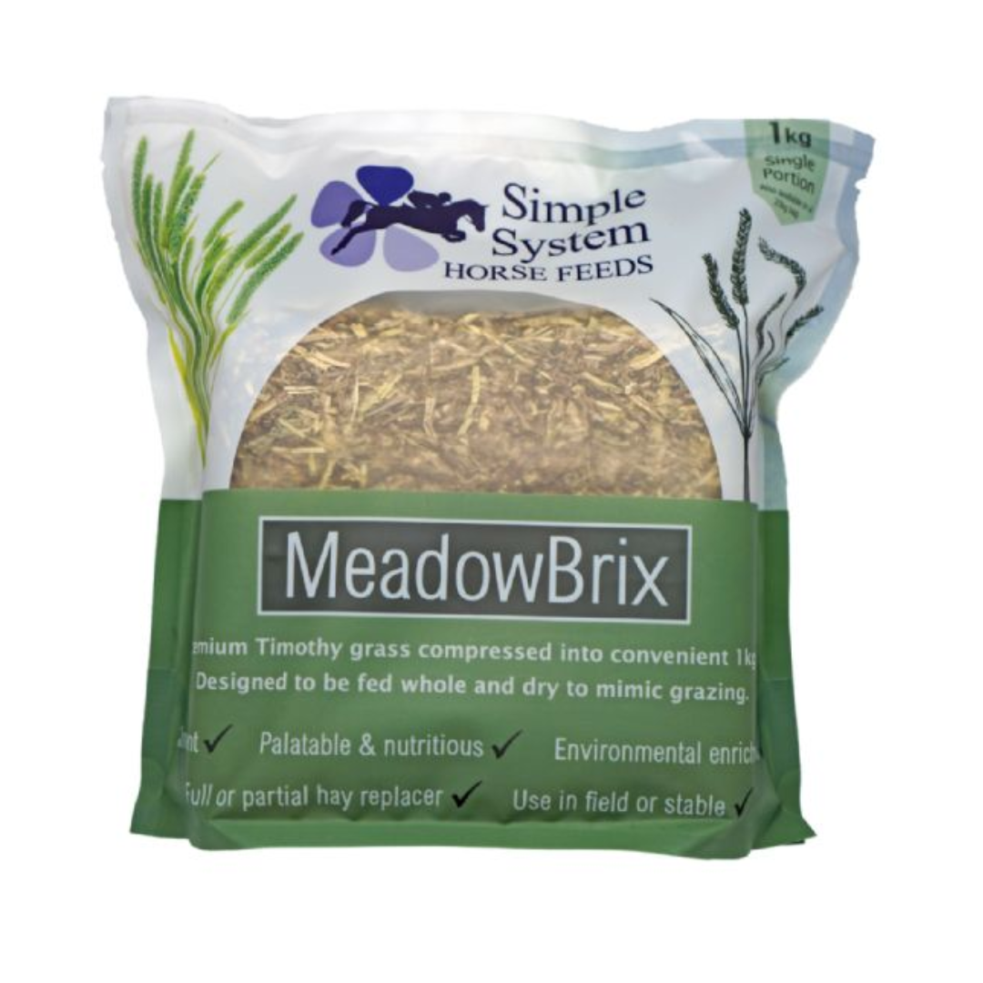 SS MEADOW BRIX SINGLE.png