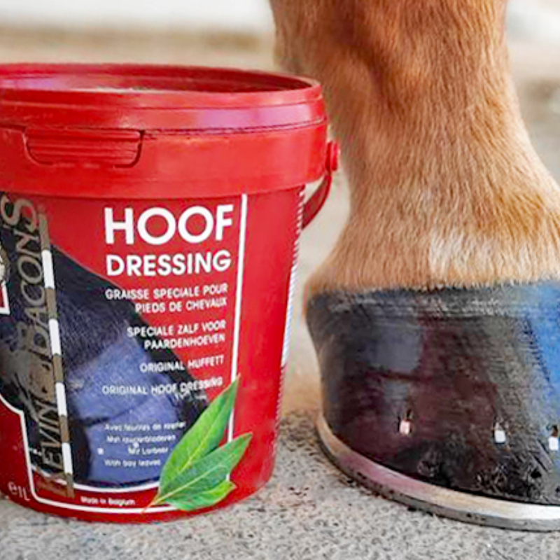 kevin bacon hoof dressing .png