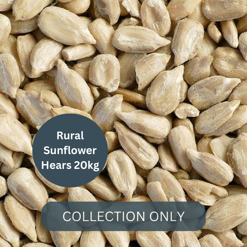 Rural Sunflower Hearts
