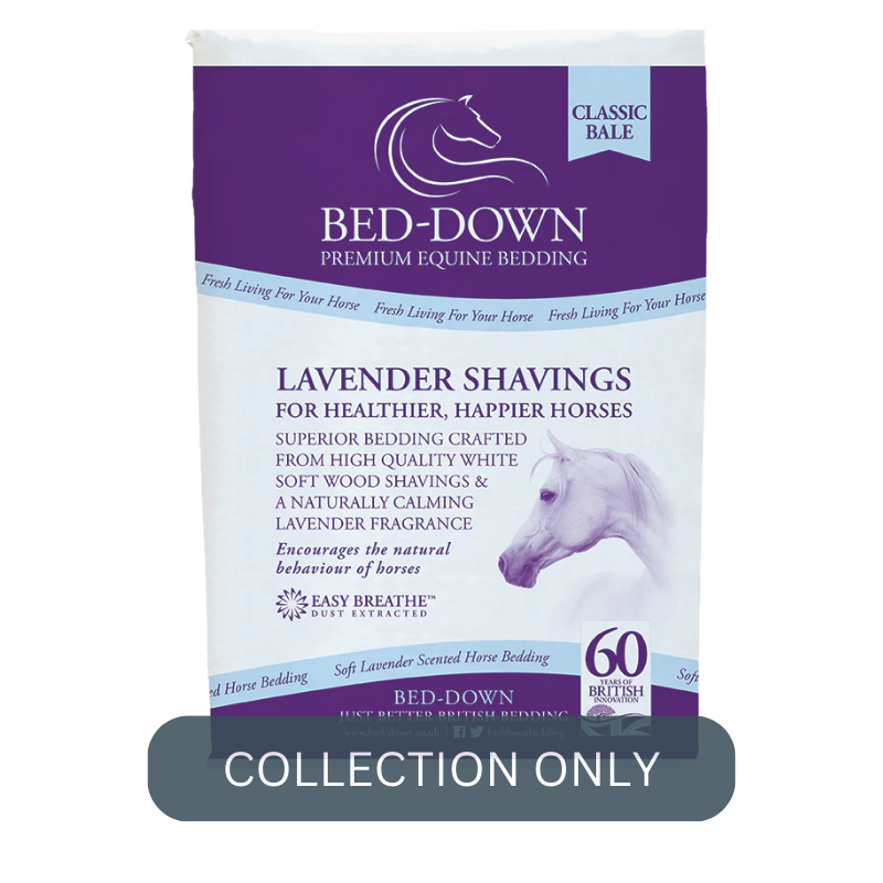 Bed-down Lavender