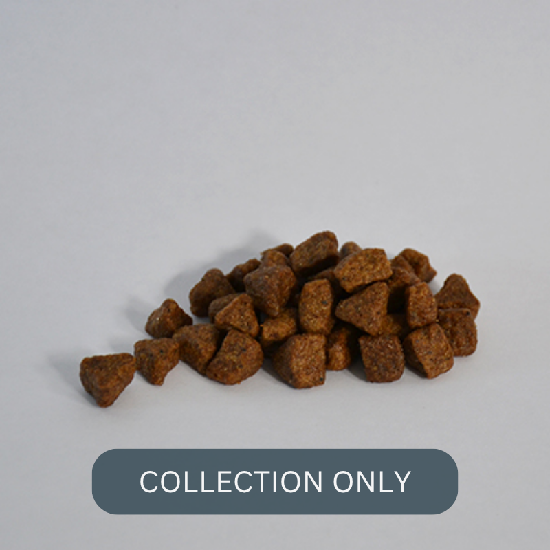 SKINNERS puppy duck1.png