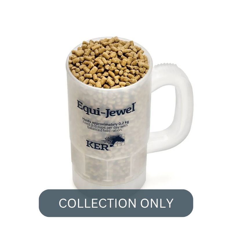 SARACEN equijewel 2.png