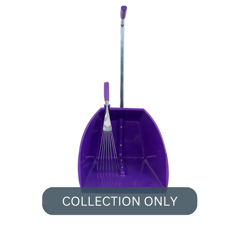 RG big tidee pur.png