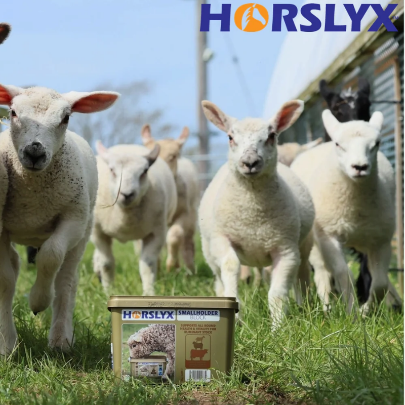 horslyx smallholder2.png