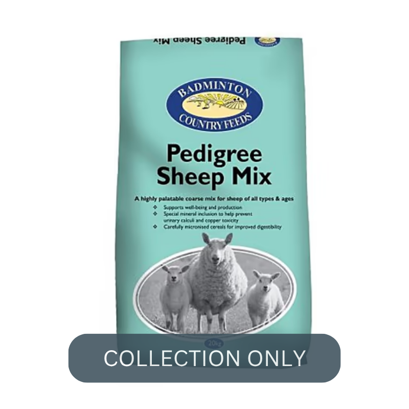 BADMINTON Pedigree sheep mx.png