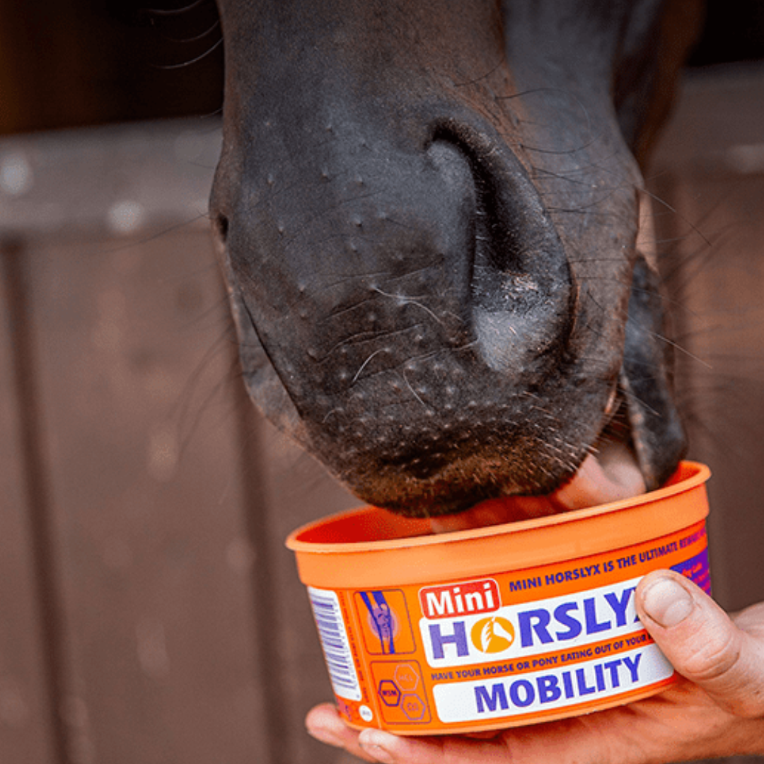 HORSLYX mini mobility1.png