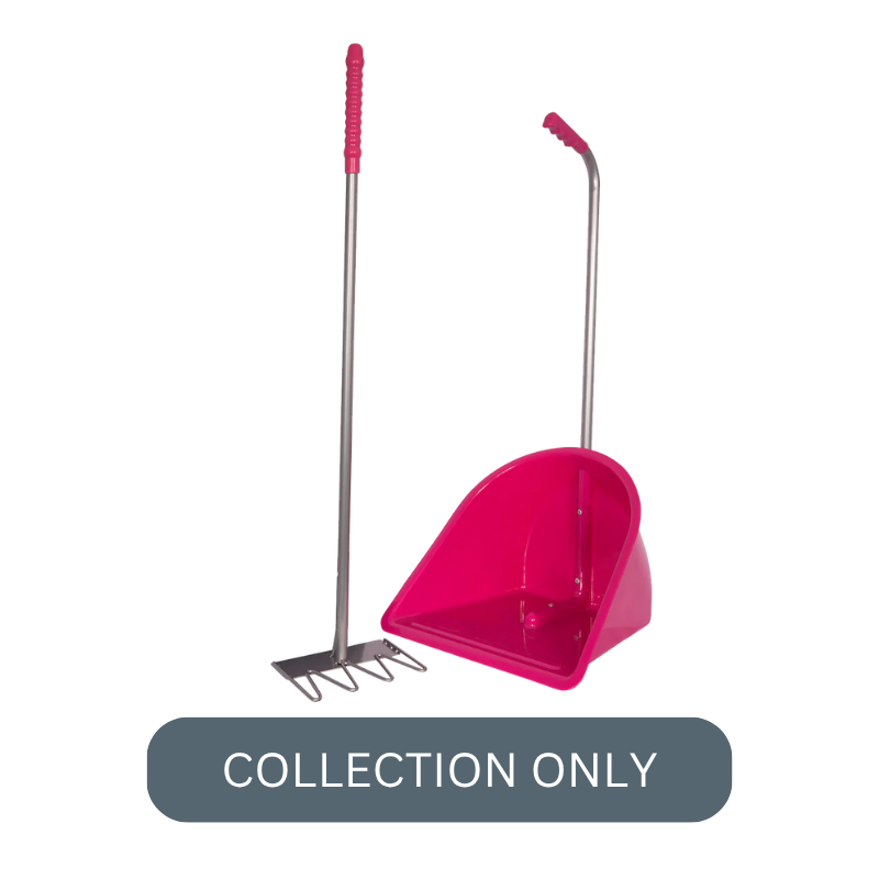 RG normal tidee pink.png