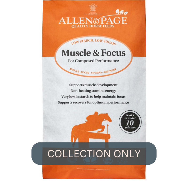Allen & Page Muscle & Focus