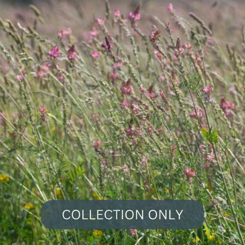 SS MEADOW FORAGE PELLETS1.png