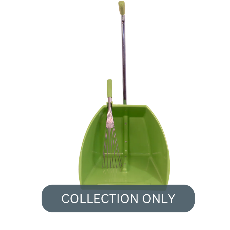 RG big tidee psit.png