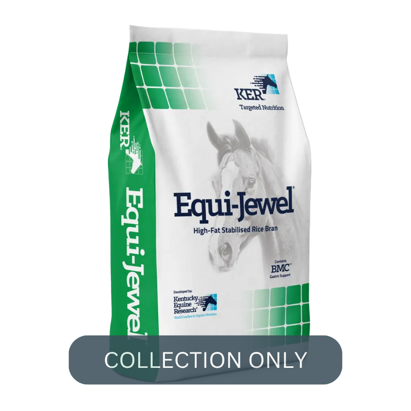 SARACEN equijewel .png