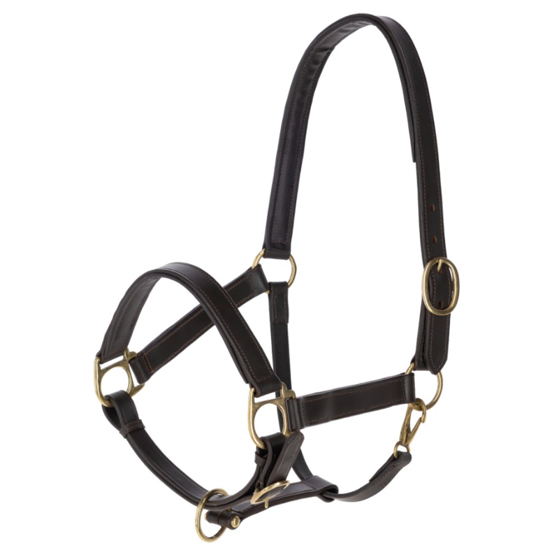 Covalliero Leather Headcollar brown.png
