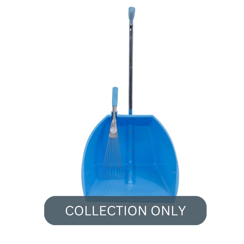 RG big tidee skbl.png
