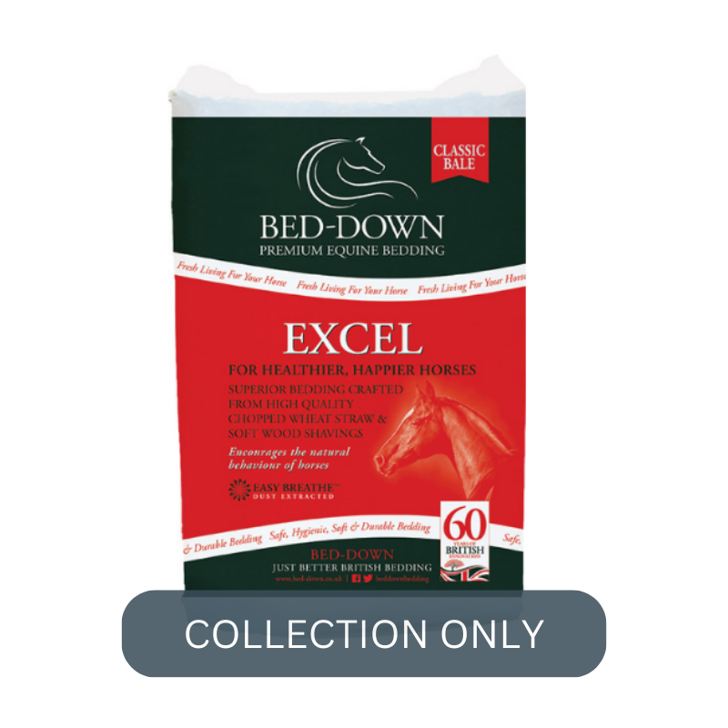 BEDDOWN EXCEL.png