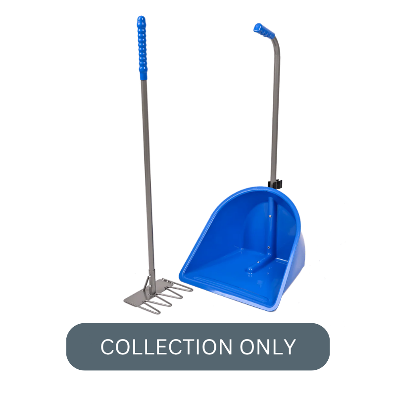 RG normal tidee blue.png