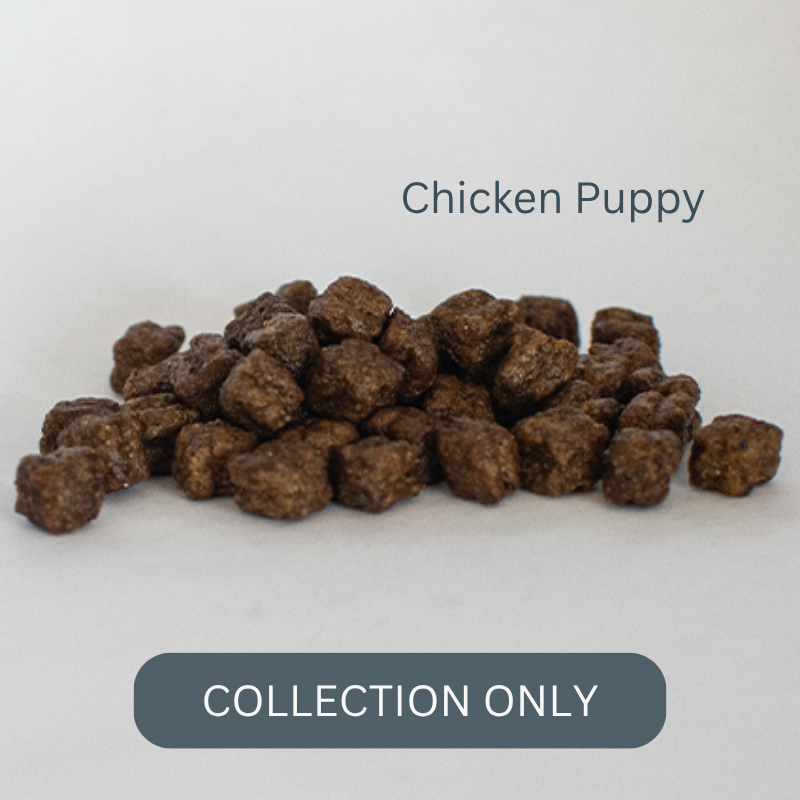 SKINNERS chickn 2.5 pupp1.png