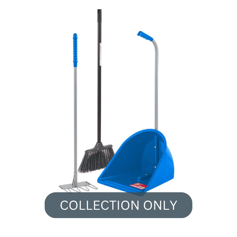 RG tidee companion blu.png