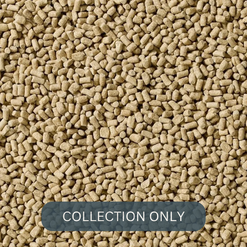 SARACEN equijewel 1.png