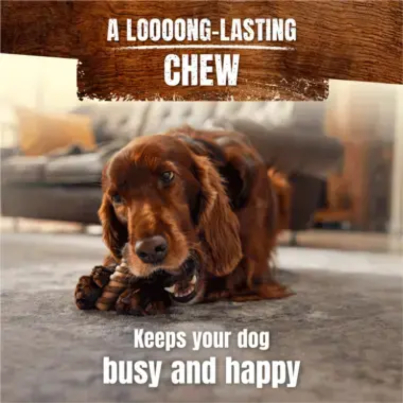 Adventuros wild chew small .....png