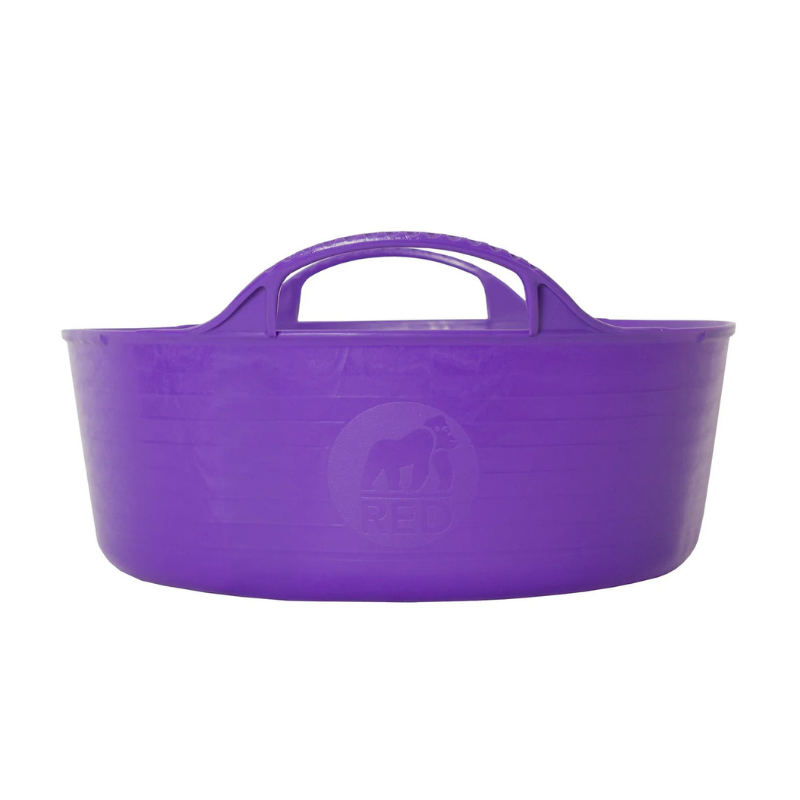 RG 5l mini shallow purple.png