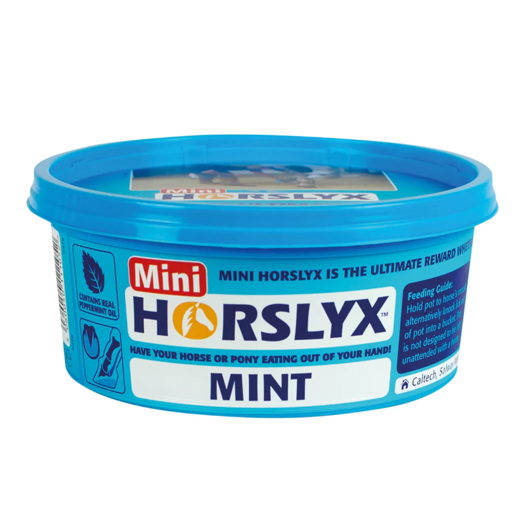 HORSLYX mini mint.png