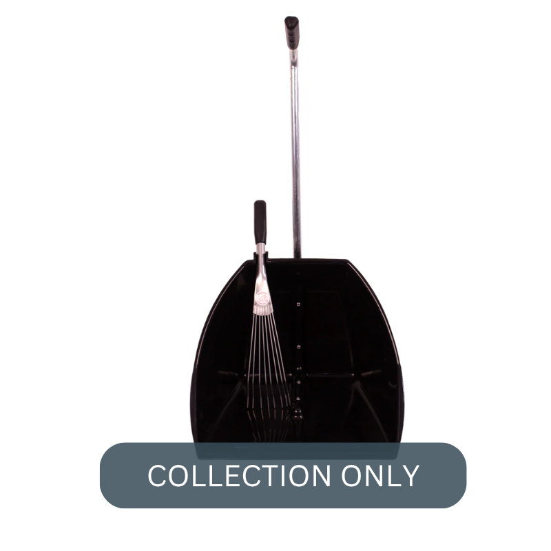 RG big tidee black.png