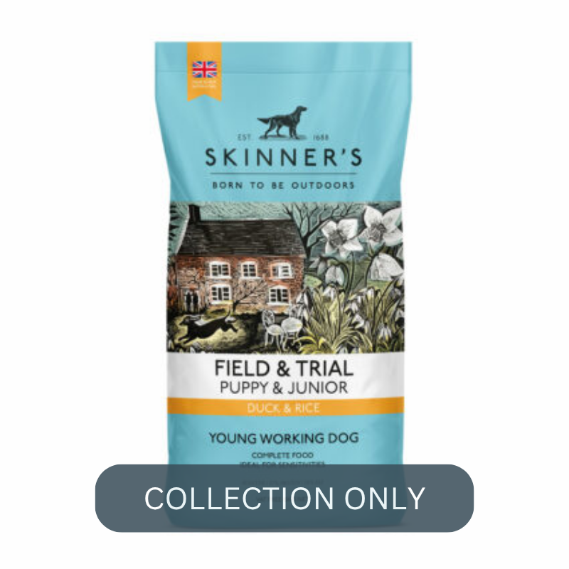 SKINNERS puppy duck.png