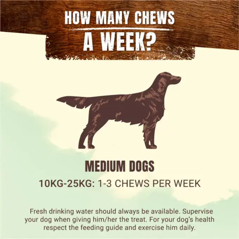 Adventuros wild chew MEDIUM adve.png