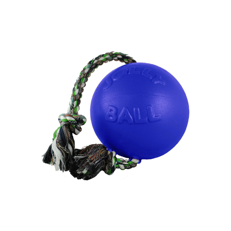 Jolly Pets Romp n Roll Ball