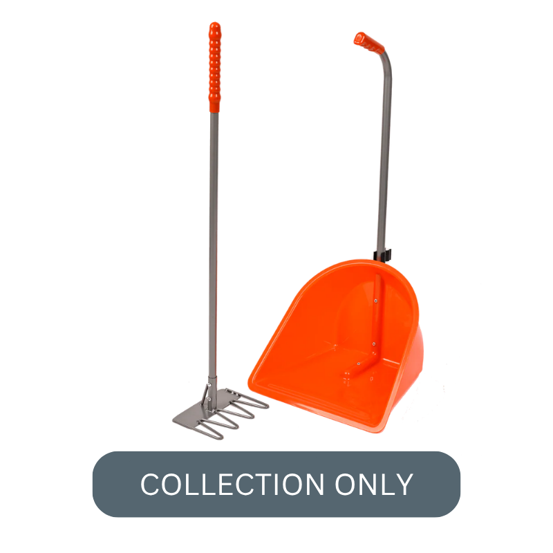 RG normal tidee orange.png