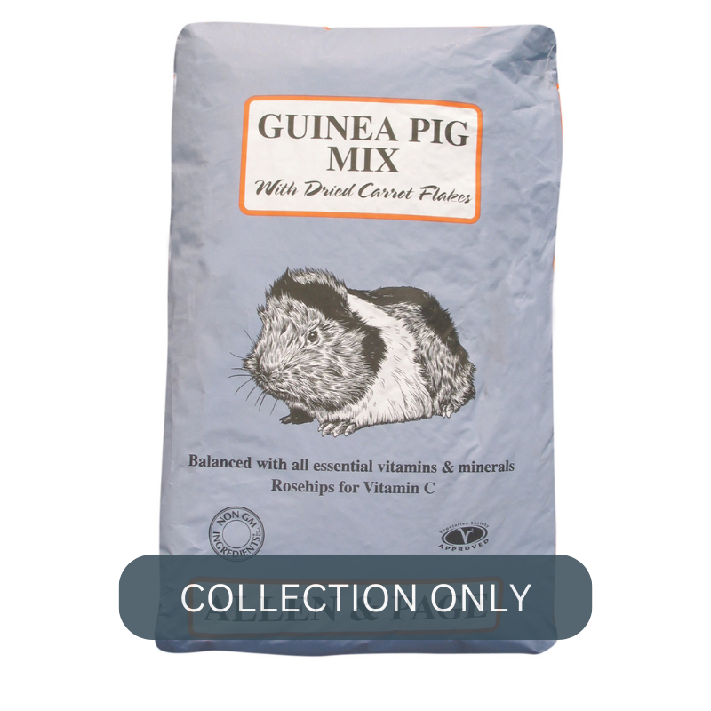 Allen & Page Guinea Pig Mix