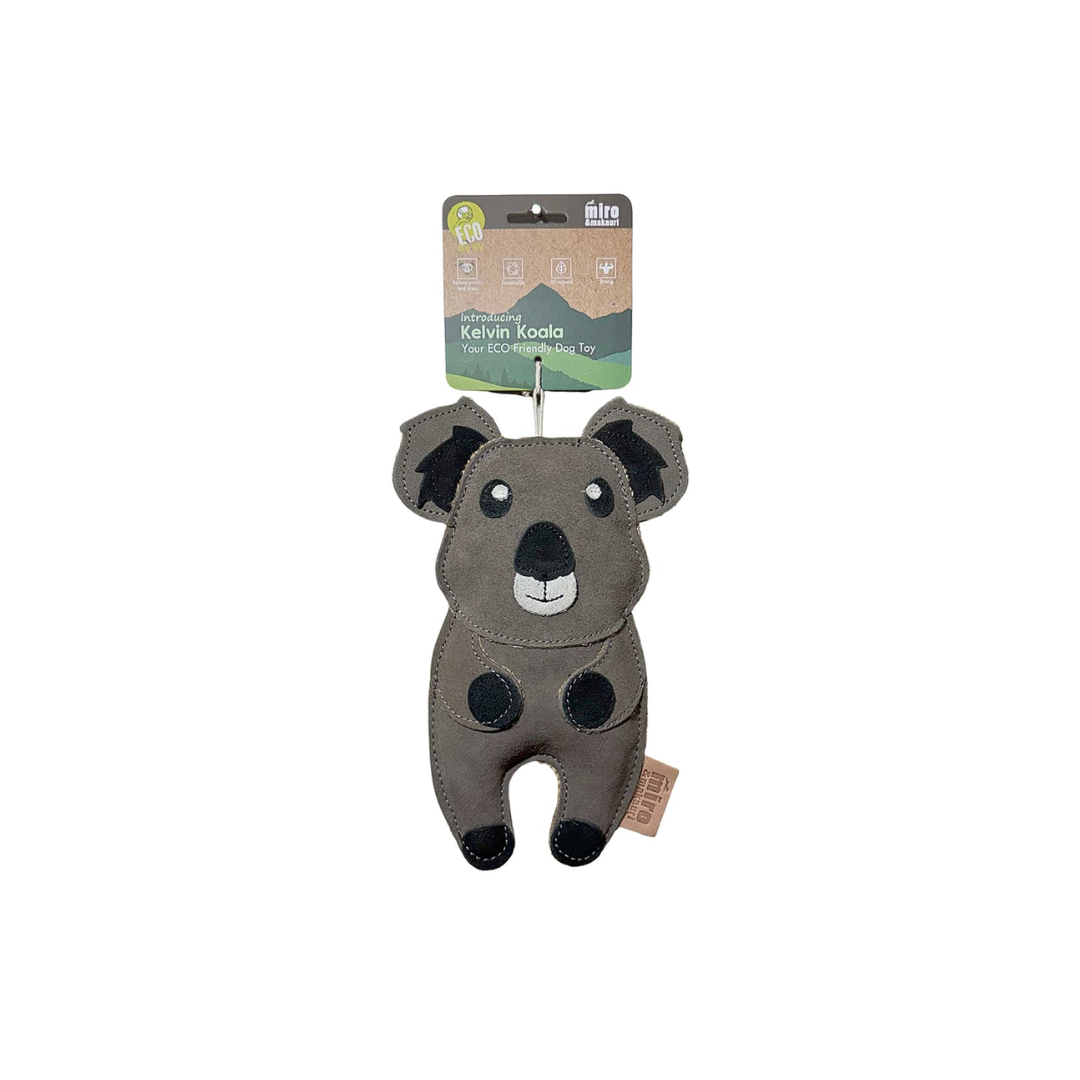 koala.png