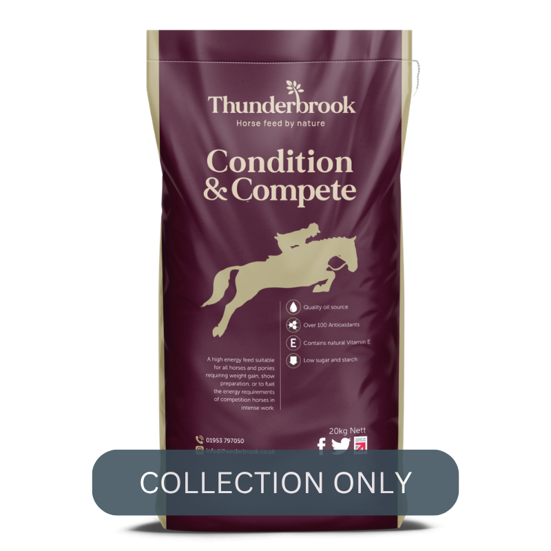 Thunderbrook Condition & Compete