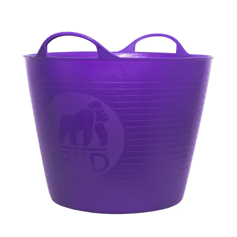 RG 26l pruple.png