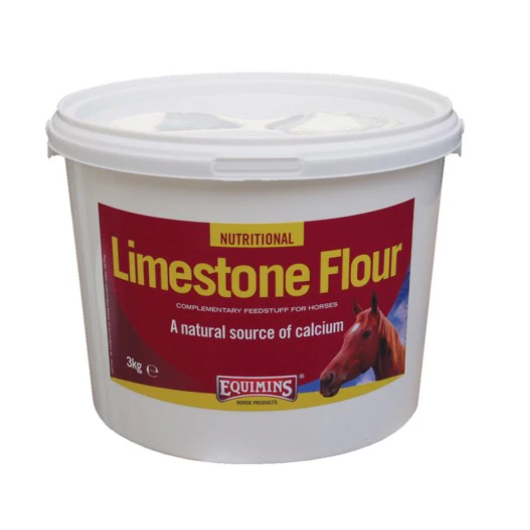 EQUIMINS limestone flr.png