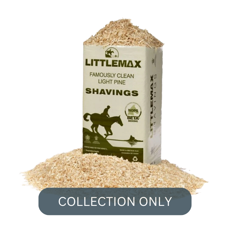 Littlemax Shavings